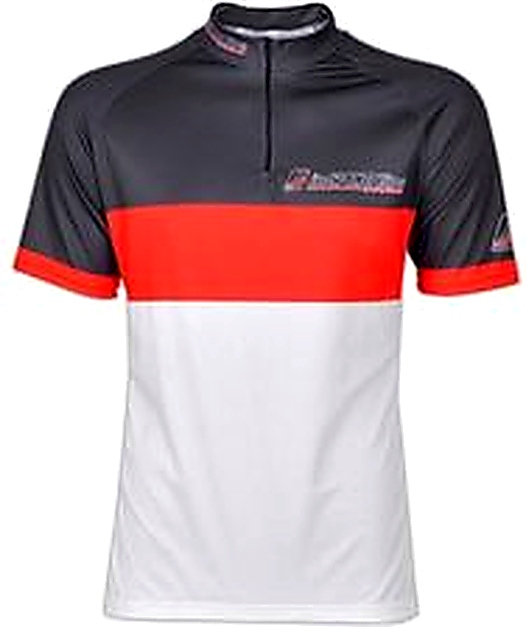 inSPORTline Holister – test steppera